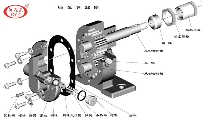 船用泵細節圖