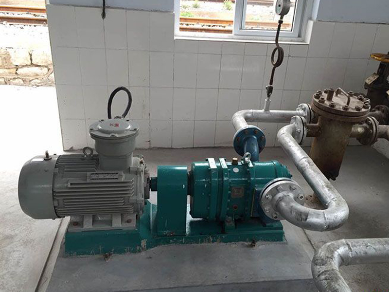 凸輪轉(zhuǎn)子泵 凸輪轉(zhuǎn)子泵