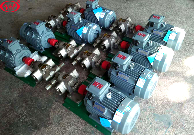 祝賀遠東泵業KCB-83.3不銹鋼齒輪泵全部交貨韶關挖掘機制造廠有限公司