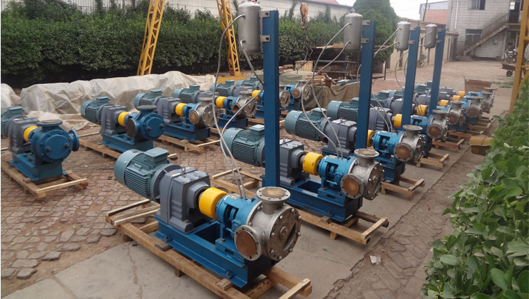 NYP220B-RU-T2-W11高粘度轉子泵輸送基礎油流量40m3/h NYP220B-RU-T2-W11高粘度轉子泵輸送基礎油流量40m3/h