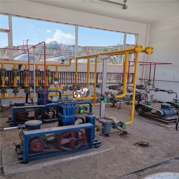 LPG液化石油氣儲罐裝車泵流量50m3/h雙螺桿泵W6.4-50M4